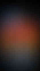 Designs By Rulli Torres