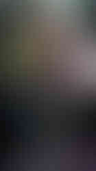 Designs by Robert Apple