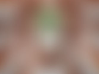 האם 'תקופת  התבונה' מבשרת התקדמות לקראת שלב חדש בהתפתחות האנושית?