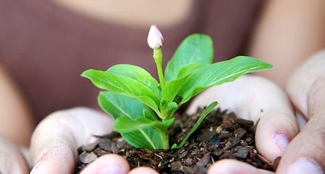 psicopedagogos [psicopedagoga] "dificuldade para aprender" "psicopedagoga aconselhamento" "psicopedagogia em alphaville" "dificuldade de antenção" psicopedagoga psicopedagogo psicopedagogia "déficit de antenção" "tratamento na dificuldade de atenção" "diagnóstico na dificuldade de concentração" "psicopedagogo em santana de parnaiba" "déficit no ensino" psicopedagogas "tratamento na dificuldade de concentração" "dificuldade de concentração" "psicopedagogo em alphavile" "pedagoga alphaville" "dificuldades na aprendizagem" [psicopedagogo] "psicopedagoga em alphaville" "psicopedagogo aconselhamento" "diagnóstico psicopedagogo" "psicopedagogia em santana de panaiba" "diagnóstico na dificuldade de aprendizagem" "pedagogo alphaville" "tratamento psicopedagógico" "déficit de concentração" "dificuldade na aprendizagem" "diagnóstico psicopedagógico" "psicopedagoga em santana de parnaiba" "tratamento na dificuldade de aprendizagem" "dificuldades de concentração" "dificuldades de antenção" "psicop