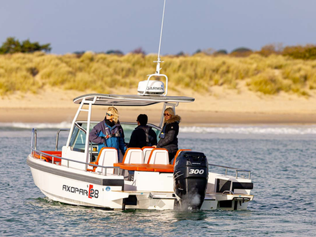 Studland Bay consultation: Government considers boating ban