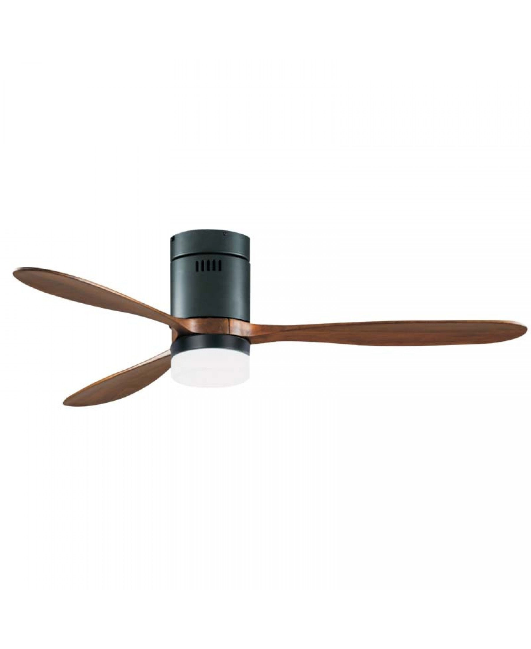 Ceiling Fan 19144