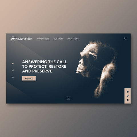'Wildlife Global' Interface Design
