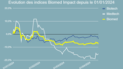 Performance de l'indice Biomed Impact en 2024