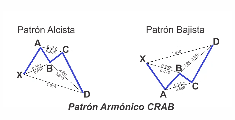 Patron Armonico Crab
