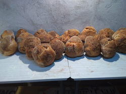 Fournées Caritatives en septembre