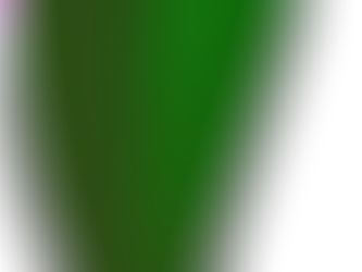 15 Green Flags in Choosing a Psychologist