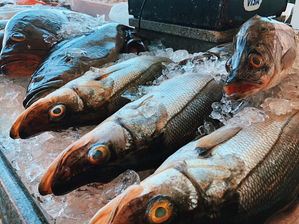 Com vendas em baixa, Mercado de Peixes espera por dias melhores