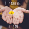 IT'S NOT YOU, IT'S ME