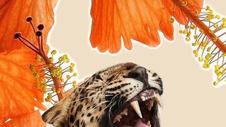 Narzisstische Rache und warum sie nach einer Trennung Vergeltung suchen