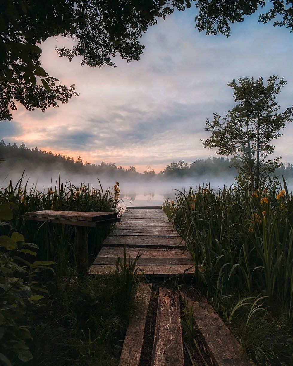 See mit Nebel bei ruhiger Stimmung als Symbol für emotionale Unklarheit und frühe Warnzeichen in Beziehungen