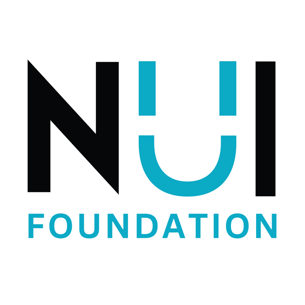 NUI Foundation Logo.png