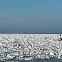 2月7日流氷初日！