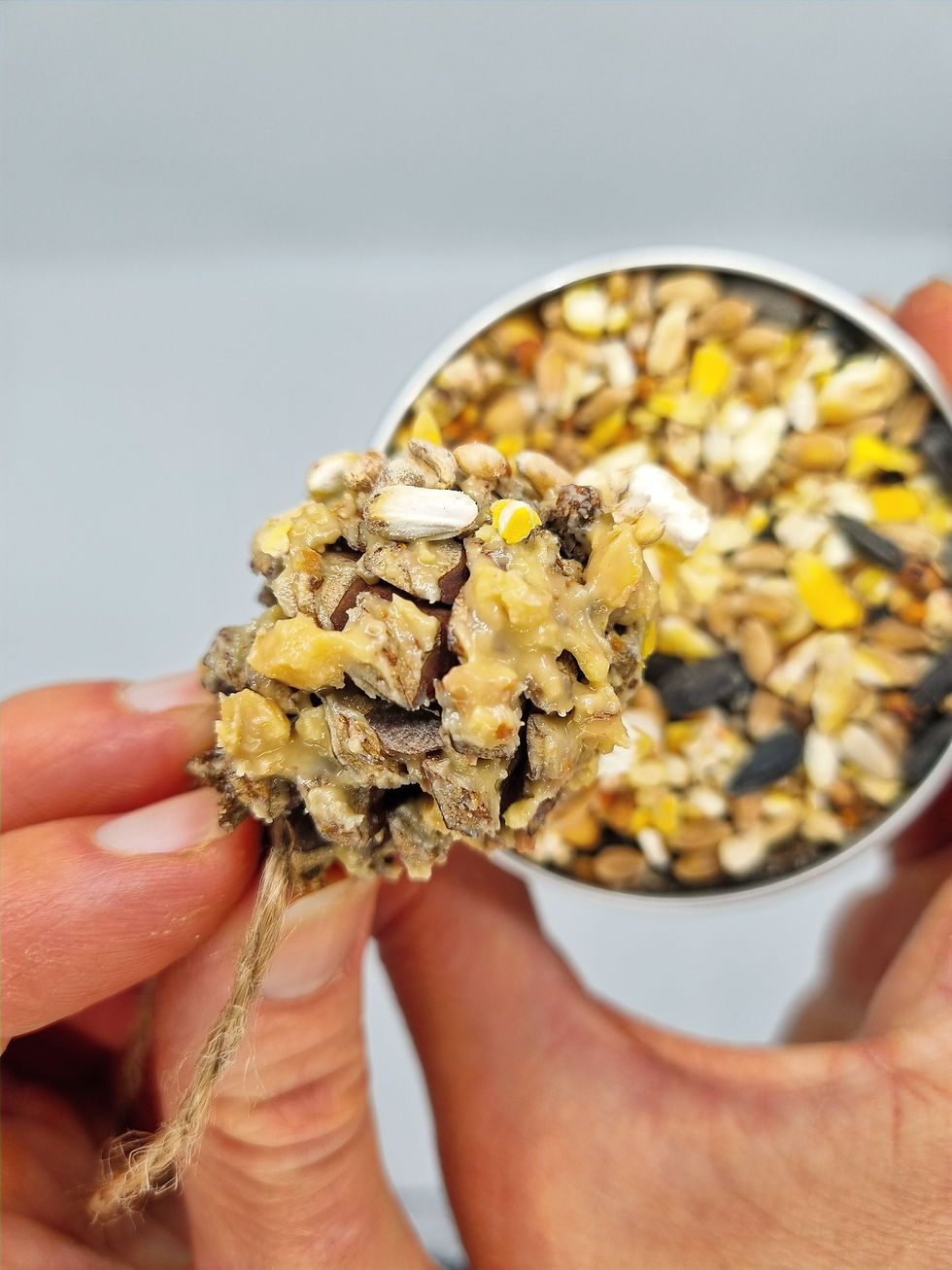 Dipping Pine Cone into Bird Seed
