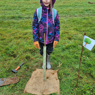 Child hammering steaks into mulch