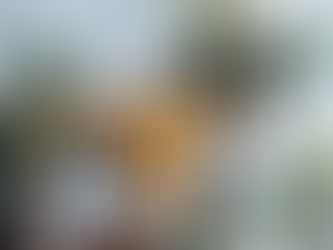 5 Creative Ways to Increase Employee Engagement for Remote Workers