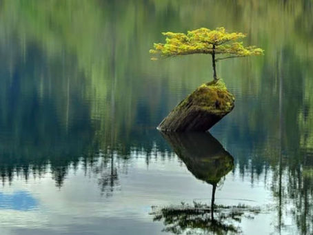 From Resistance to Resilience In Healthcare: It's more than growing a thick skin!
