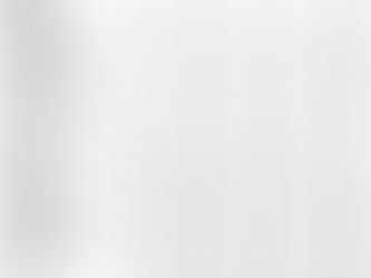 BEAR LAX TRAX FAX by John Nichols