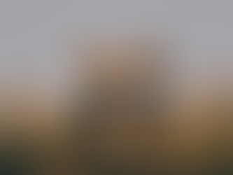 FX Ventures Inc. may Redeem your uChoose reward  Gift Cards into equity in EFT, Stocks, REITs and Stocks in New York&nbsp;Entitles.