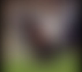 BEARS LAX TRAX 030121 by John Nichols