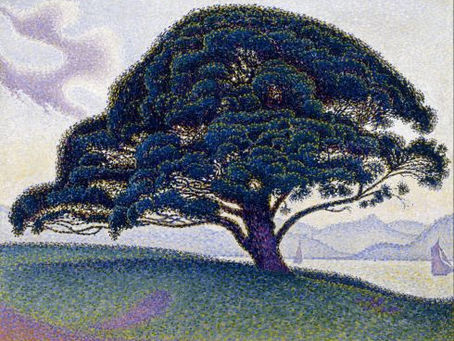 Paul Signac – The Poetry of The Bonaventure Pine