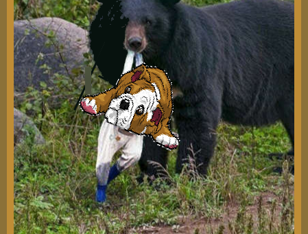 Landon Bears 20    St. Andrews Lions 6