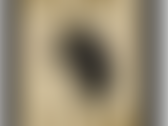 BEARS SPORTS NEW SUNDAY EDITION 04/06/2025