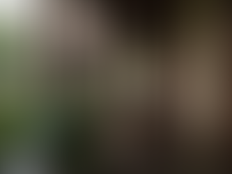 Book Excerpt: Anamika