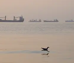 Strait of Hormuz