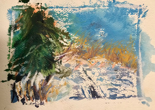 Imposing Evergreen