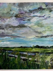 Fields Near Amsterdam
