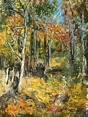 Path in Woods
