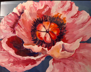 Poppy
