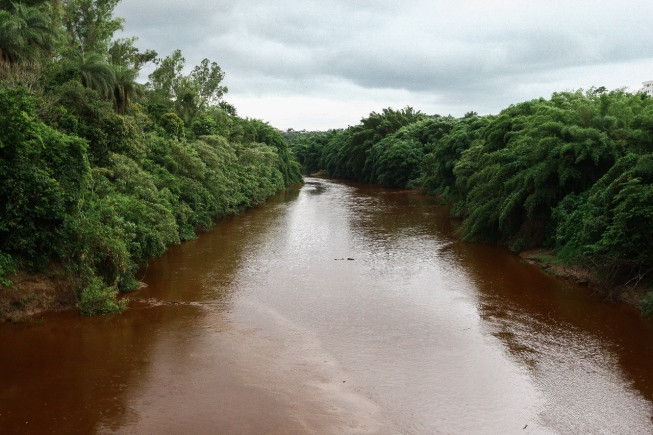 Água do Rio Paraopeba apresenta riscos à saúde humana e animal, alerta Estado