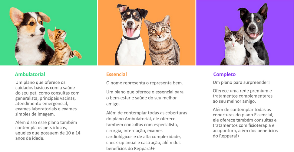 seguro cães.PNG