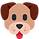 PLANO DE SAUDE CÃES
