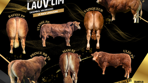 Catalogue des Semences 2026 