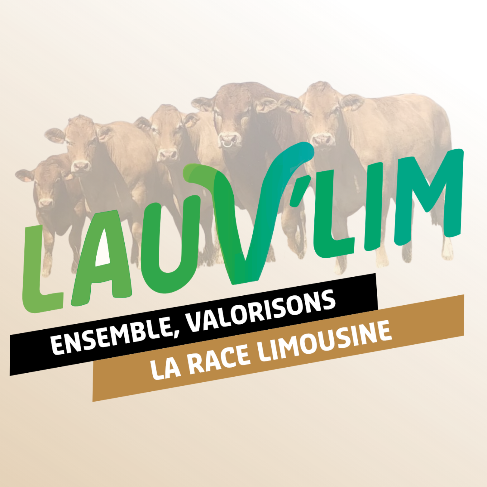 Photo du rédacteur: LAUV'LIM