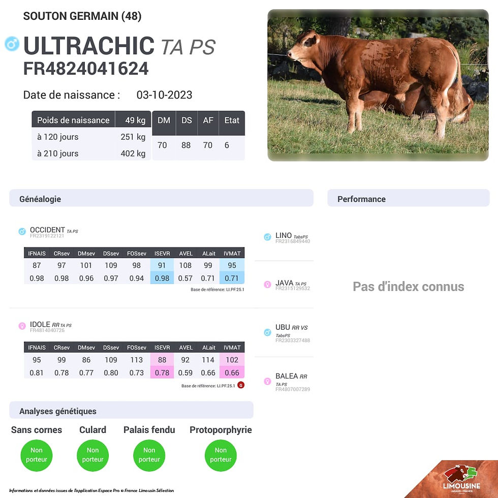 Miniature : EXCLUSIVITE adhérents ULTRACHIC - FR4824041624 - 35 €