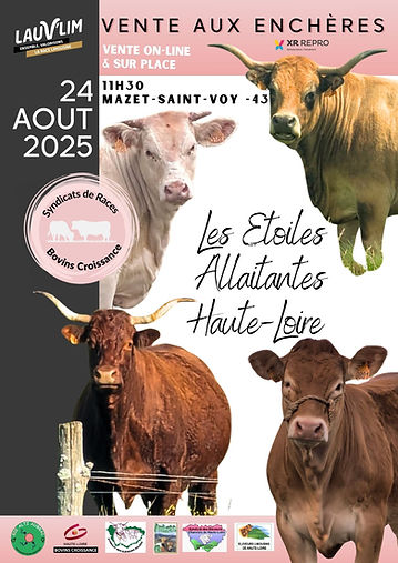 Vente Les étoiles Allaitantes 43 .jpg