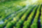 Irrigations