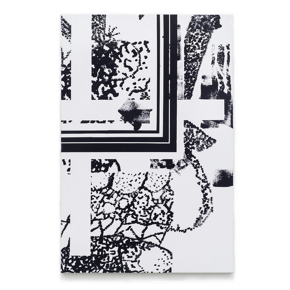 Ewert_Untitled_2015_Gesso on canvas_24_x36