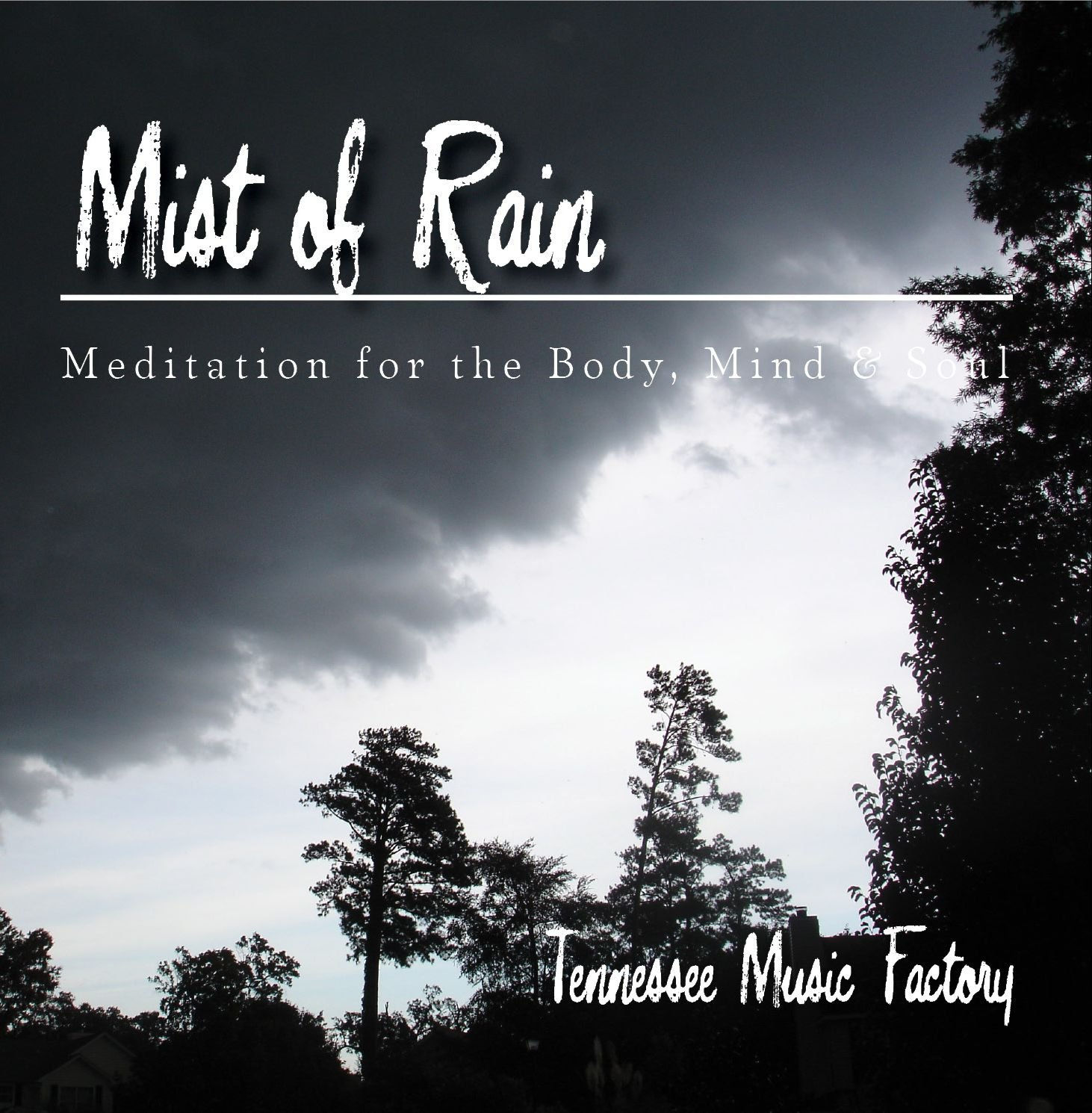 Tai Chi Flow- Mist of Rain