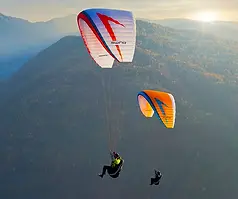 Swing-Serac-RS-1a.webp