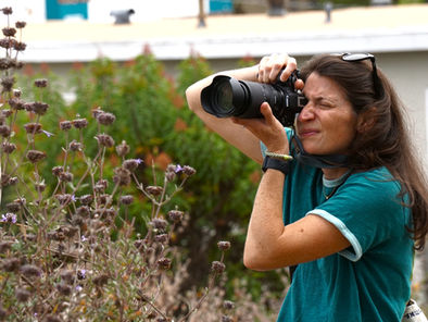 Check Out the 2026 Wildflower Photography Workshop Submissions!