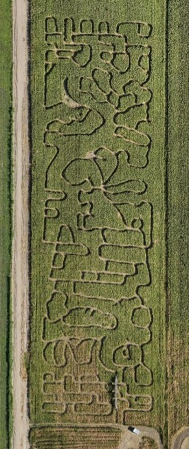 2016 Aerial