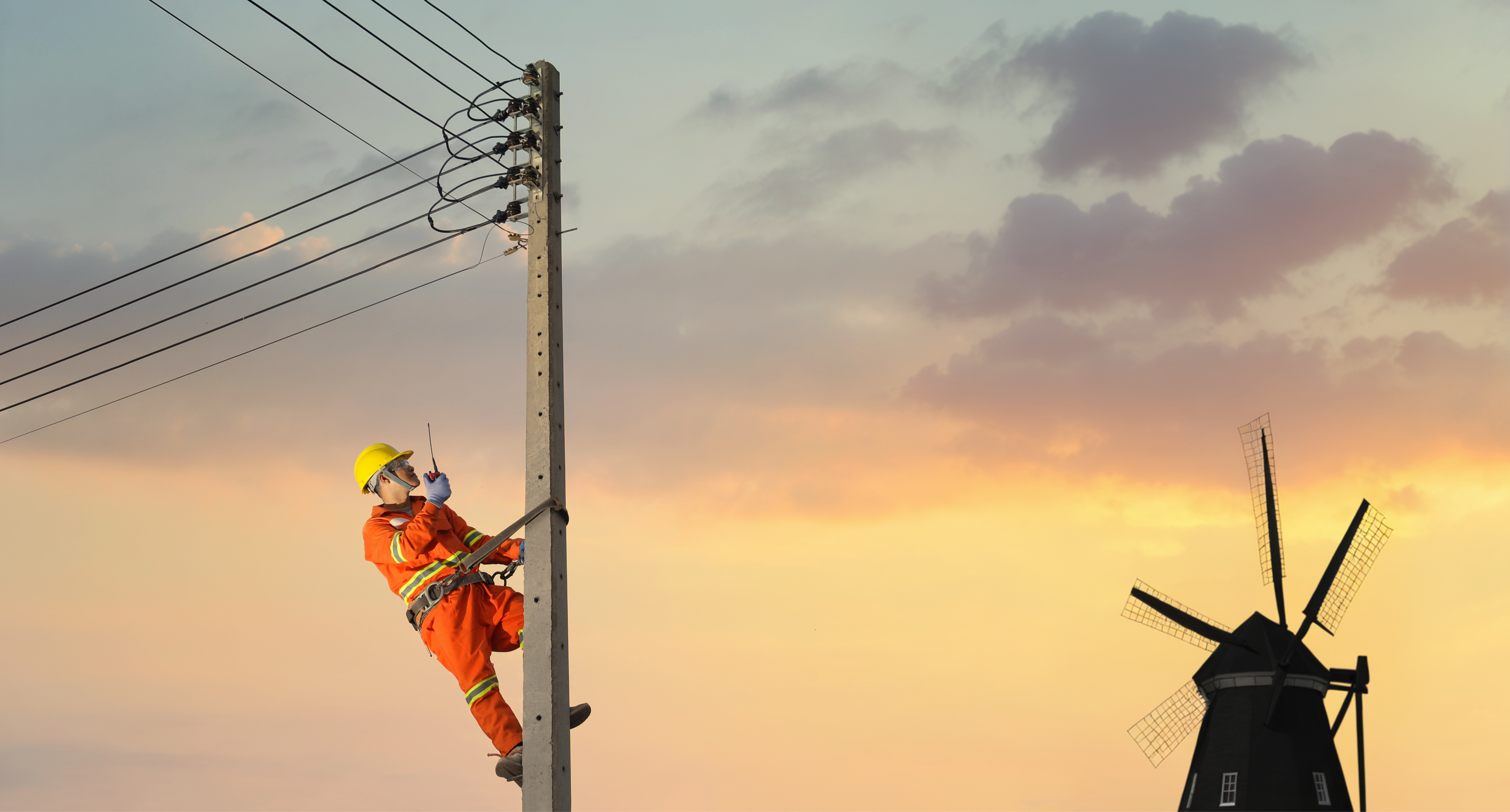 Climbing on Power Pole_edited.png