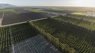 California Bets Big on Ag-Tech with $80 Million Economic Development Push