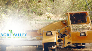 3 Smart Management Practices to Optimize Almond Harvest in 2025