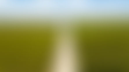 USDA Grants Put on Ice: How the Government Shutdown Silences Critical Agricultural Funding